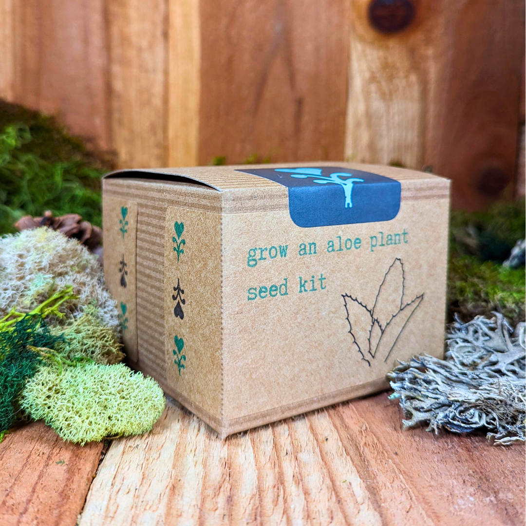 Grow an Aloe Plant Seed Kit – photo 4