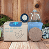 Grow an Aloe Plant Seed Kit – photo 2