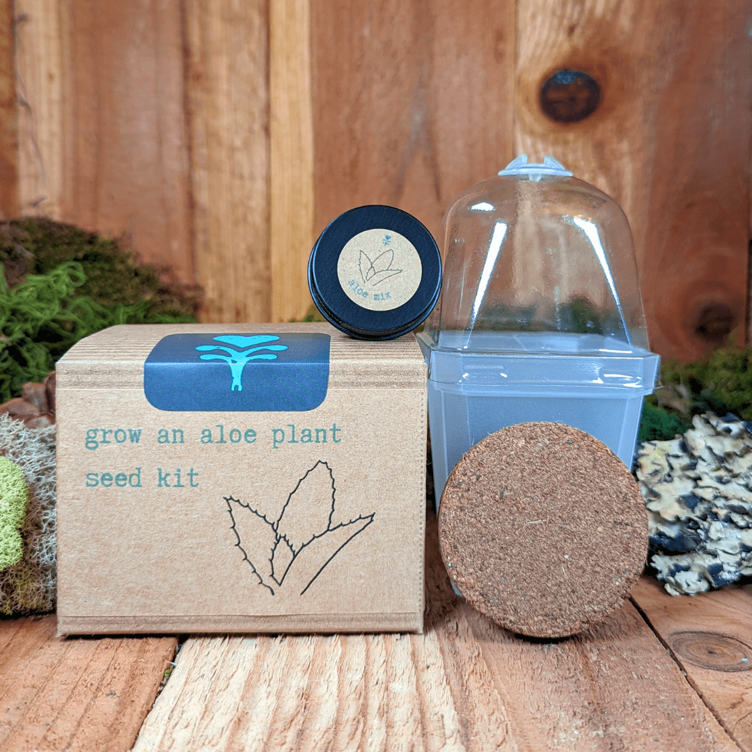 Grow an Aloe Plant Seed Kit – photo 2