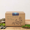 "Grow an Herb Garden" Herbal Teas Seed Kit – photo 2