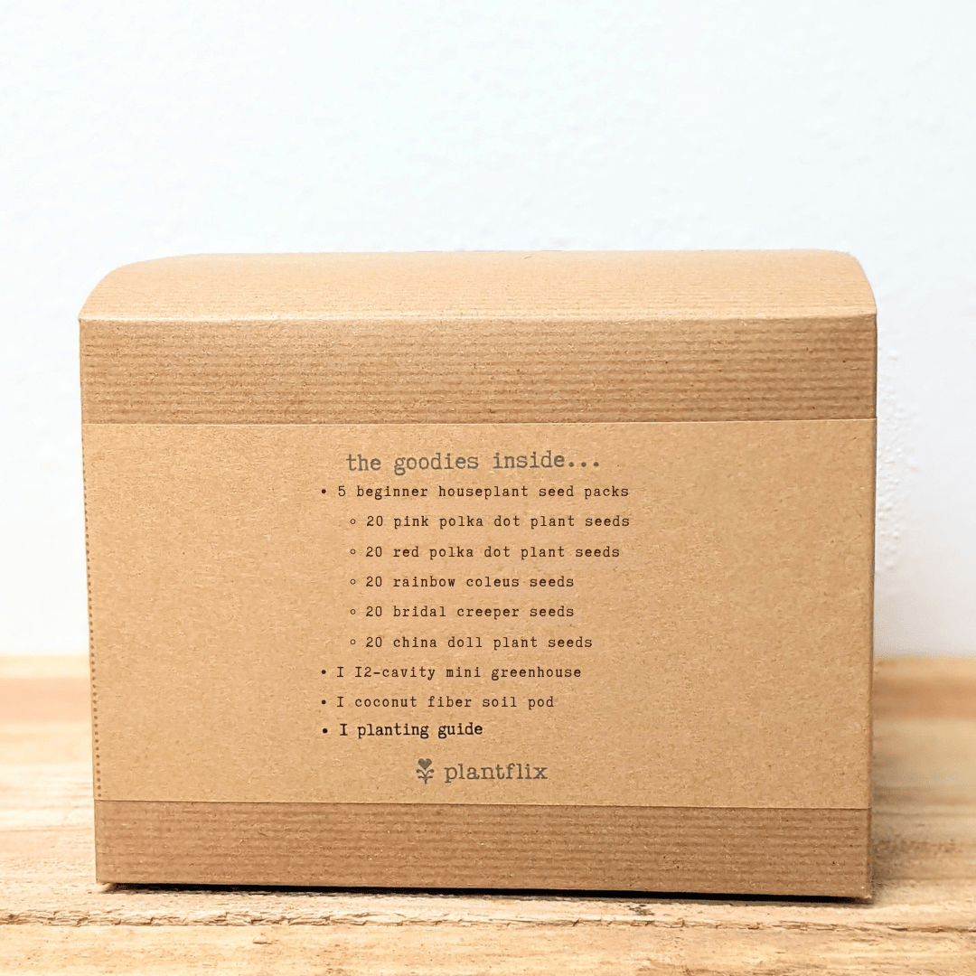 "Grow an Indoor Jungle" Houseplant Seed Kit – photo 4