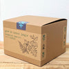 "Grow an Indoor Jungle" Houseplant Seed Kit – photo 8
