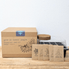 "Grow an Indoor Jungle" Houseplant Seed Kit – photo 2