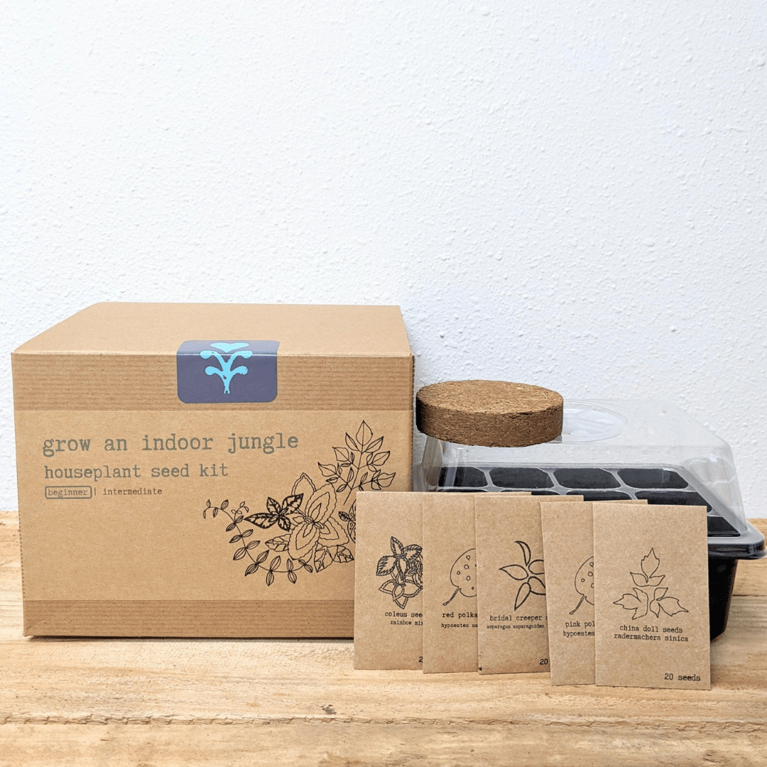 "Grow an Indoor Jungle" Houseplant Seed Kit – photo 2