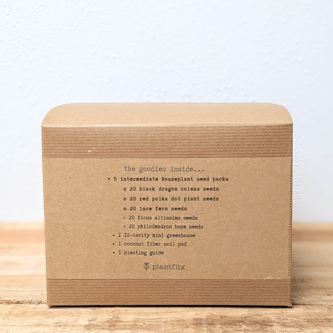 "Grow an Indoor Jungle" Houseplant Seed Kit – photo 9