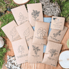 "Grow Your Own Jungle" Houseplant Seed Collection