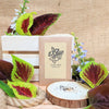 "Grow your own Jungle" Houseplant Seed Collection – photo 5