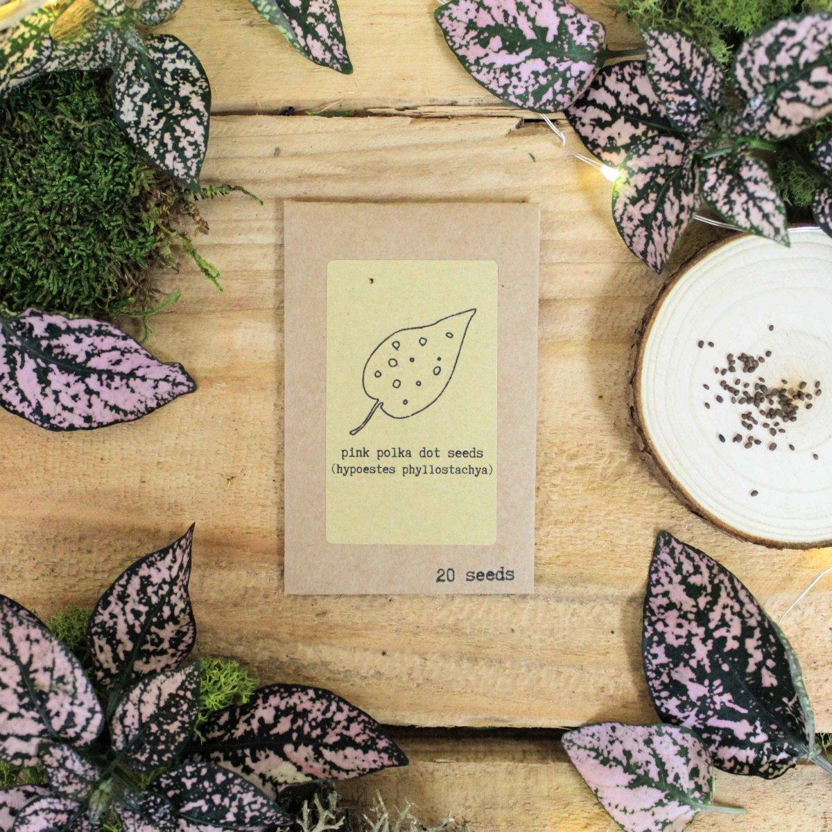 "Grow your own Jungle" Houseplant Seed Collection – photo 4