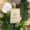 "Grow your own Jungle" Houseplant Seed Collection – photo 8