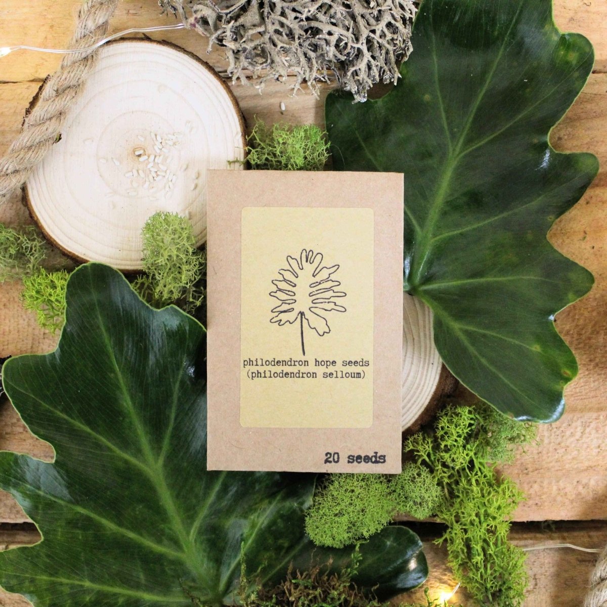 "Grow your own Jungle" Houseplant Seed Collection – photo 8