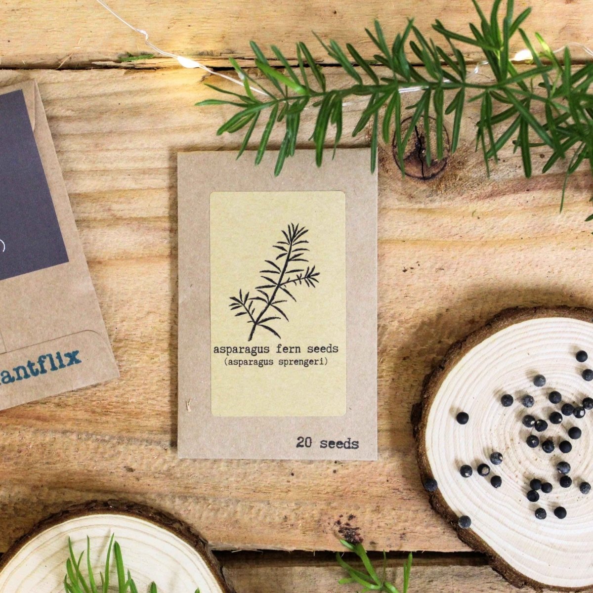 "Grow your own Jungle" Houseplant Seed Collection – photo 6