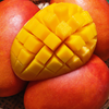 Mango 'Haden' (Mangifera indica)