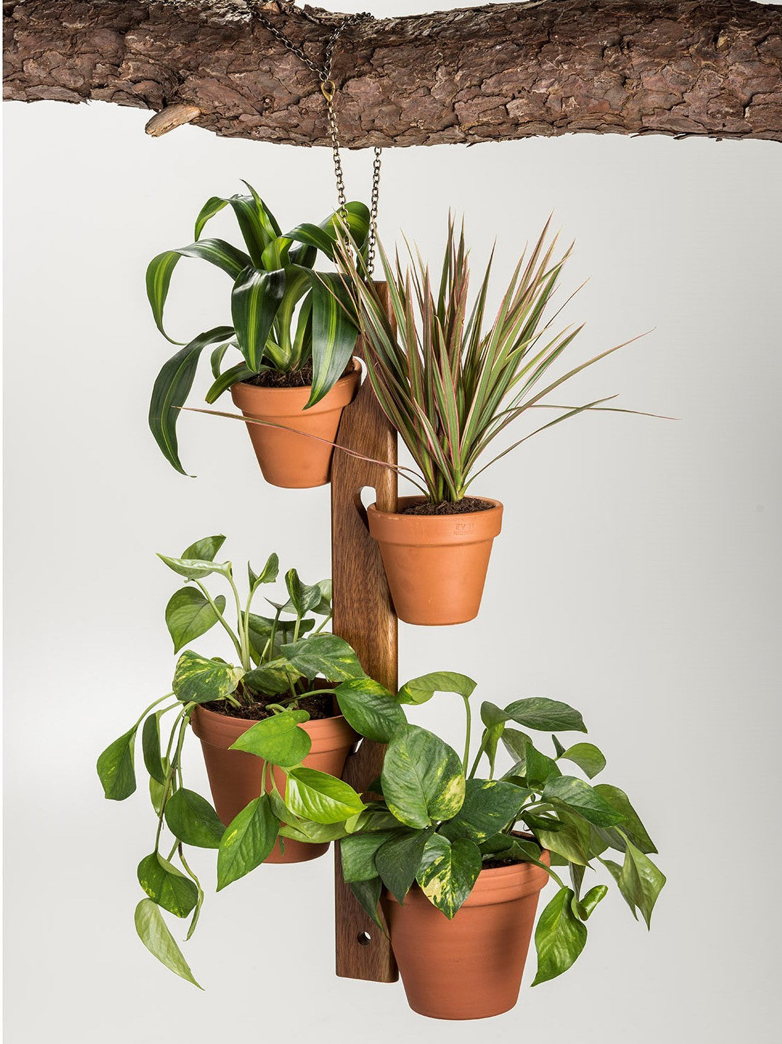 Hanging 4-Pot Plant Holder For 4 And 6 Inch Terra Cotta Pots 23.5 x 2.5