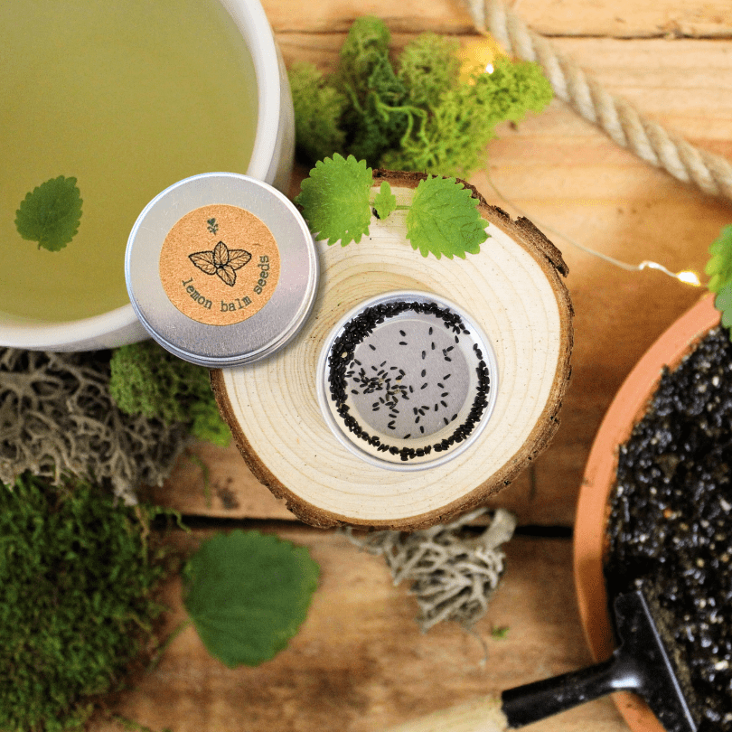 Lemon Balm Seeds – photo 2