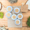 Herbal Tea Seed Collection