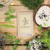 "Houseplant Adventurer" Houseplant Seed Collection – photo 2