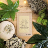 "Houseplant Adventurer" Houseplant Seed Collection – photo 4