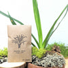 "Houseplant Buff" Houseplant Seed Collection – photo 5