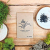 "Houseplant Newbie" Houseplant Seed Collection – photo 2