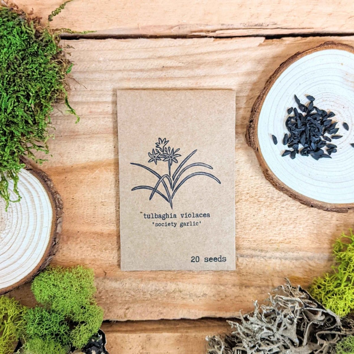 "Houseplant Newbie" Houseplant Seed Collection – photo 2
