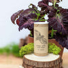 "Houseplant Newbie" Houseplant Seed Collection – photo 5