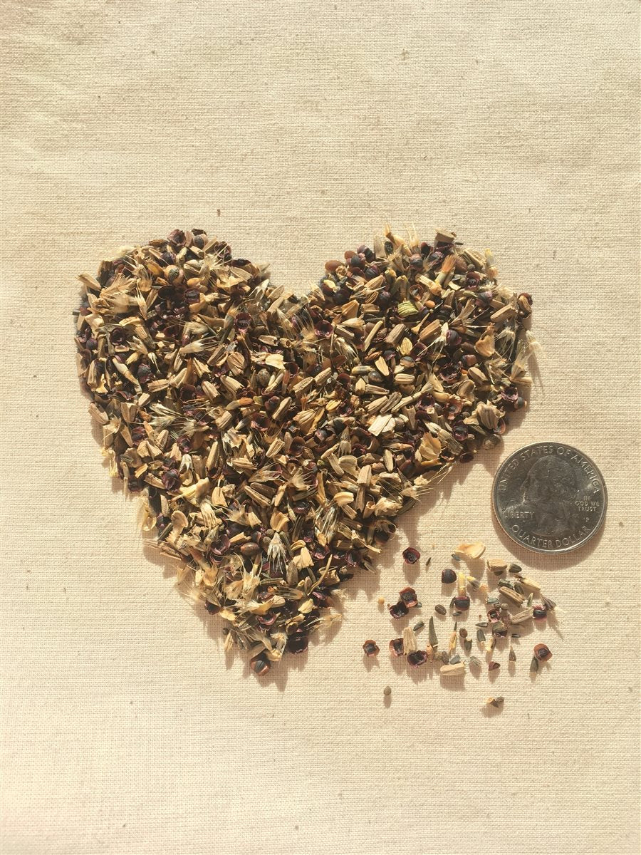 Midwest Native Wildflower Mix – photo 2