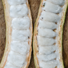 Ice Cream Bean (Inga edulis)