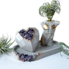 MALE BODY AIR PLANT HOLDER