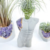 MALE BODY AIR PLANT HOLDER