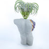 MALE BODY AIR PLANT HOLDER