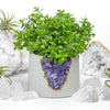 3" Geode Planter