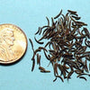 100 Kala Jeera IMPERIAL BLACK CUMIN Spice Plant Bunium Persicum Herb Seeds