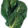 1500 MORRIS HEADING COLLARDS Collard Green Brassica Oleracea Vegetable Seeds