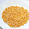 150 LADY FINGERS POPCORN Corn Zea Mays White Yellow Vegetable Seeds
