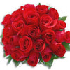 5 RED ROSE Rosa Bush Shrub Perennial Flower Seeds