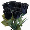 5 BLACK ROSE Rosa Bush Shrub Perennial Flower Seeds