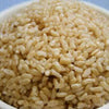 100 Long Grain BROWN WHITE RICE Oryza Sativa Vegetable Seeds