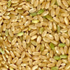 100 Long Grain BROWN WHITE RICE Oryza Sativa Vegetable Seeds