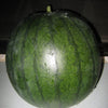 100 SUGAR BABY WATERMELON Citrullus lanatus Fruit Melon Seeds