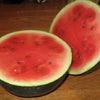 100 SUGAR BABY WATERMELON Citrullus lanatus Fruit Melon Seeds