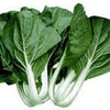 2000 CANTON PAK CHOI (Bok Choy / Chinese Cabbage) Brassica Rapa Chinensis Vegetable Seeds