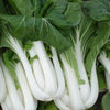 2000 CANTON PAK CHOI (Bok Choy / Chinese Cabbage) Brassica Rapa Chinensis Vegetable Seeds