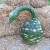 15 GOOSENECK / Bottle / SWAN GOURD Lagenaria Siceraria Vine Seeds