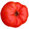 500 ACE 55 TOMATO Lycopersicon Lycopersicum Fruit Vegetable Seeds