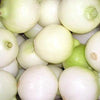 500 Crystal White WAX PEARL ONION Allium Cepa Vegetable Seeds