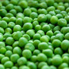50 Super SUGAR SNAP PEA Pisum Sativum Macrocarpon Vegetable Seeds