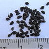 150 NIGELLA Sativa BLACK CUMIN Spice Black Caraway Fennel Flower Herb Seeds