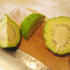 10 HEDGE APPLE Osage Orange Horse Apple Monkey Ball Maclura Pomifera Tree Seeds