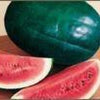 50 FLORIDA GIANT WATERMELON Cannon Ball Black Diamond Citrullus Fruit Seeds