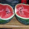 50 FLORIDA GIANT WATERMELON Cannon Ball Black Diamond Citrullus Fruit Seeds